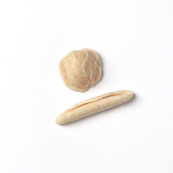 PIZZARIEDDI E ORECCHIETTE RUSTICHE 500 g